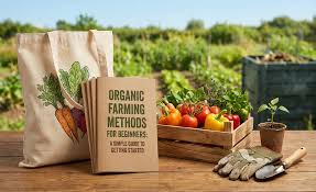 Easy Organic Farming Methods Explained Simply