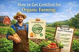 Getting Organic Farming Certification Made Easy