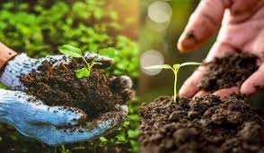 Organic Farming Advantages Explained Simply