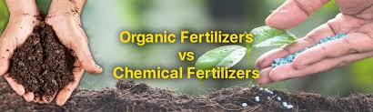 Organic Farming Versus Chemical Fertilizers