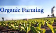 Organic Farming in India A Simple Guide