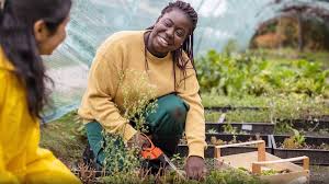 Understanding Organic Farming Magazine Content